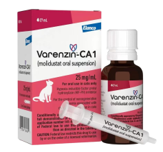 Liver Supplements for Dogs: Ingredients, Choices, and Vet-Guided Safety